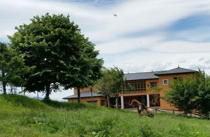 Hotel Rural Yeguada Albeitar Villayon Exterior photo